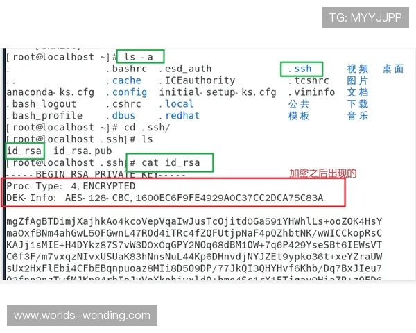 访问问鼎官网登录平台，享受一站式管理与多样化功能的全面支持