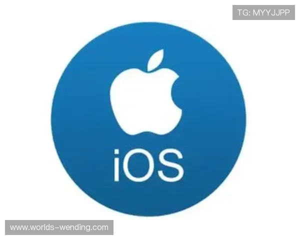 如何快速找到问鼎苹果iOS下载入口并顺利完成安装流程指南