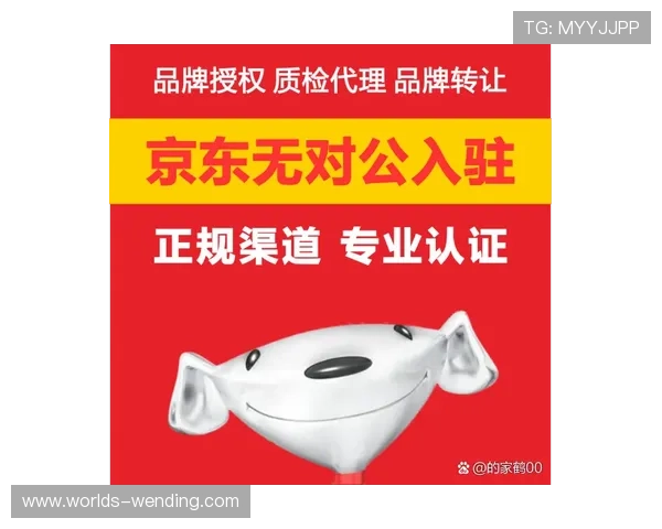 问鼎.cn官方版社区交流平台：玩家互动与经验分享的最佳渠道