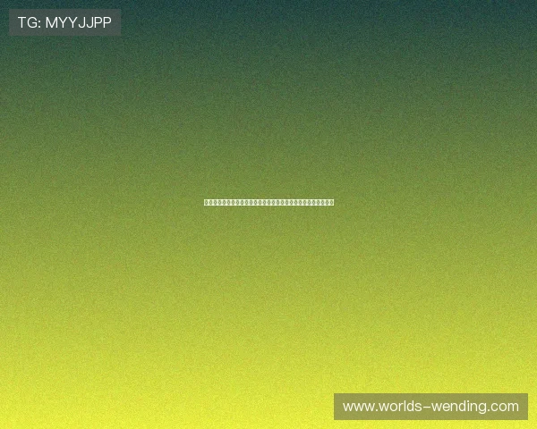 问鼎旗舰平台全面升级，打造一站式解决方案满足多元化业务需求