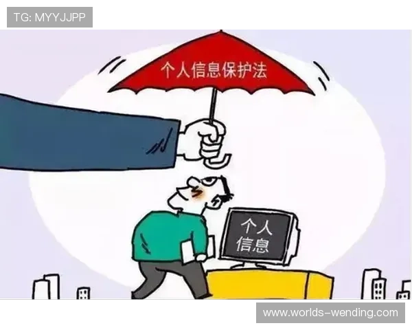 问鼎集团app官方入口安全登录流程详解，保障玩家账号信息安全与隐私保护